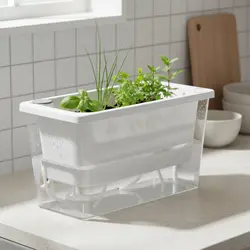 Maceta con riego automático para plantas no tóxicas mascotas