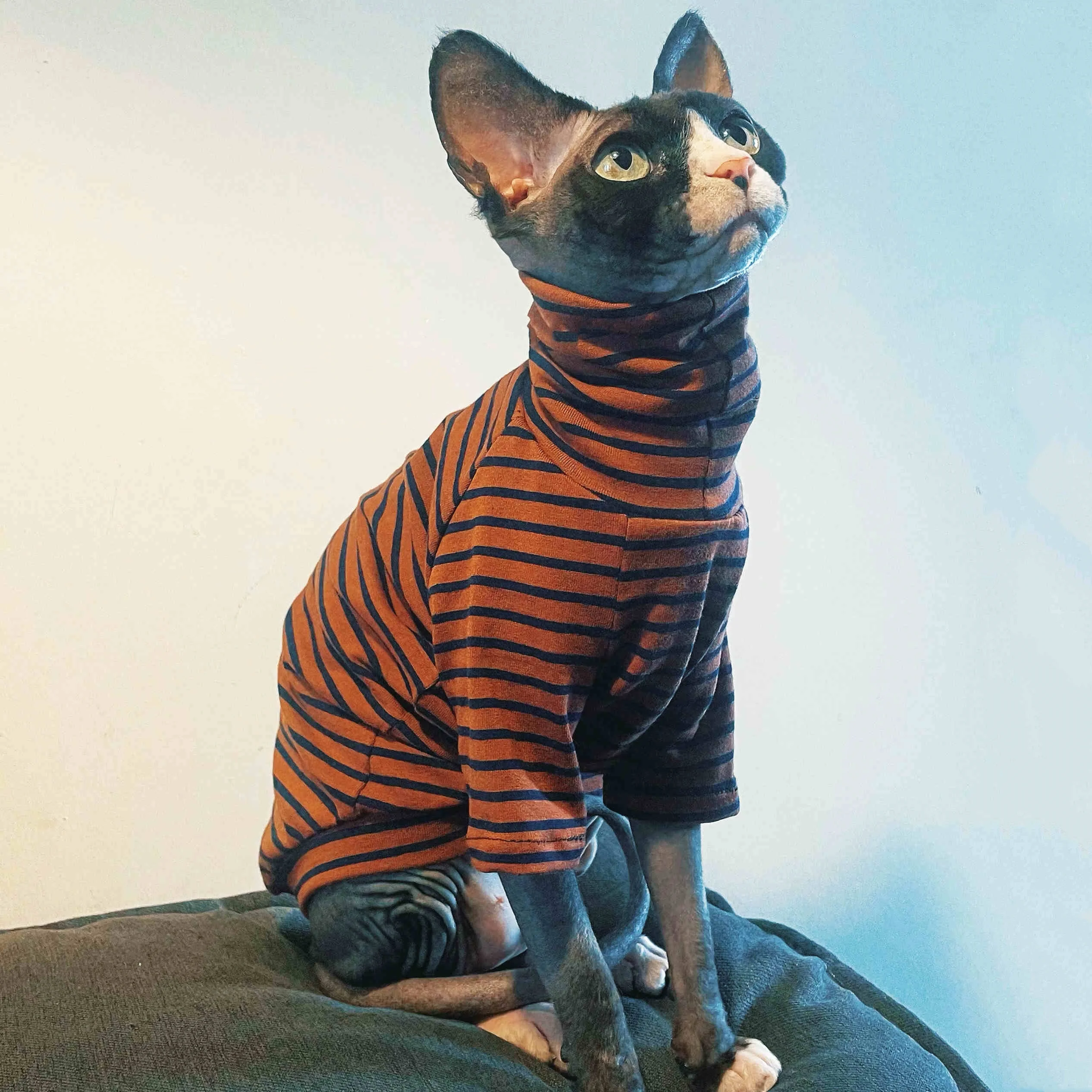 Sphynx Cat Camiseta café a rayas de cuello alto Mangas largas Abrigo de algodón primaveral para gato sin pelo Ropa de estar por casa agradable para la piel para gatitos