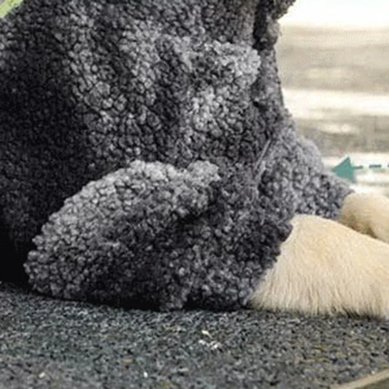 Otoño Invierno abrigos cálidos para perros ropa grande Labrador Samoye abrigos para perros ropa de raza grande diseñador de lujo suministros para mascotas para hombres y mujeres - imagen 3