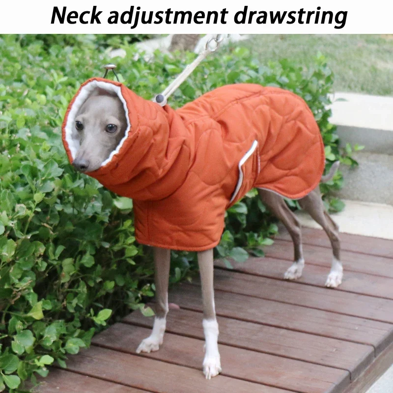 Abrigos grandes y cálidos para perros, Chaqueta de algodón de galgo, protección del cuello, ropa de diseñador de lujo para perros con cinturón, suministros gruesos para mascotas, invierno - imagen 3