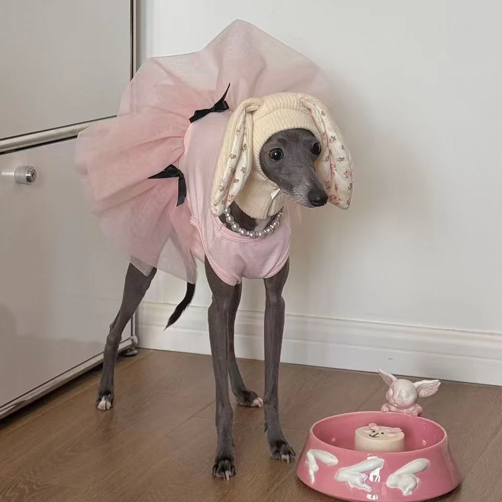 Vestido de encaje rosa para Galgo Italiano y Whippet – Primavera - imagen 2