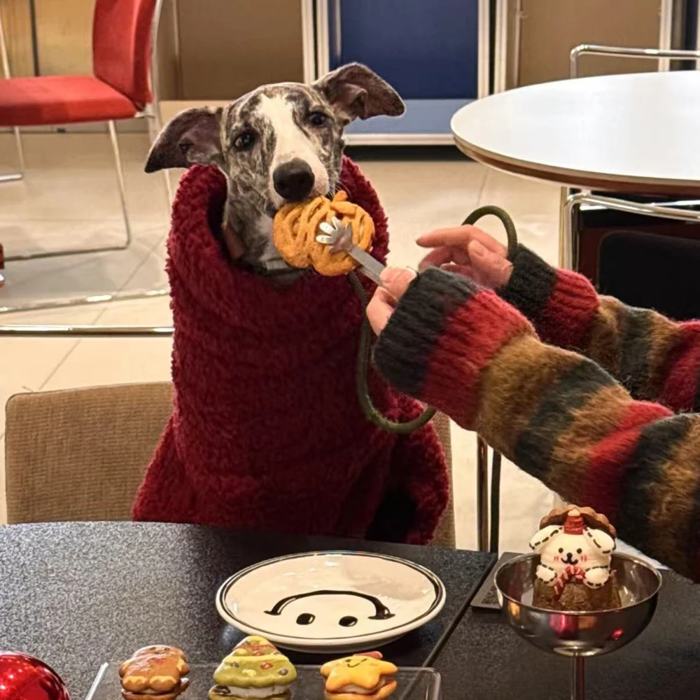 Suéter de lana rojo de invierno para Whippet, sudadera de manga gruesa y cálida con cuello alto para galgo italiano, ropa de Navidad de Año Nuevo - imagen 4