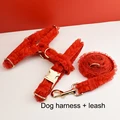 Harness   leash