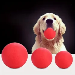 Juguete pelota de goma para perros – Resistente para morder y jugar