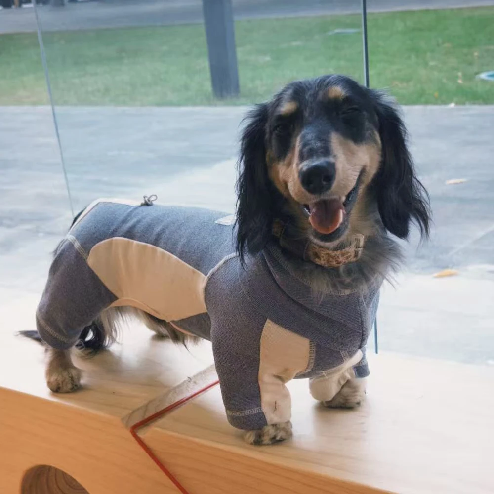 Mono suave elástico ajustable para perro salchicha – Primavera otoño - imagen 3