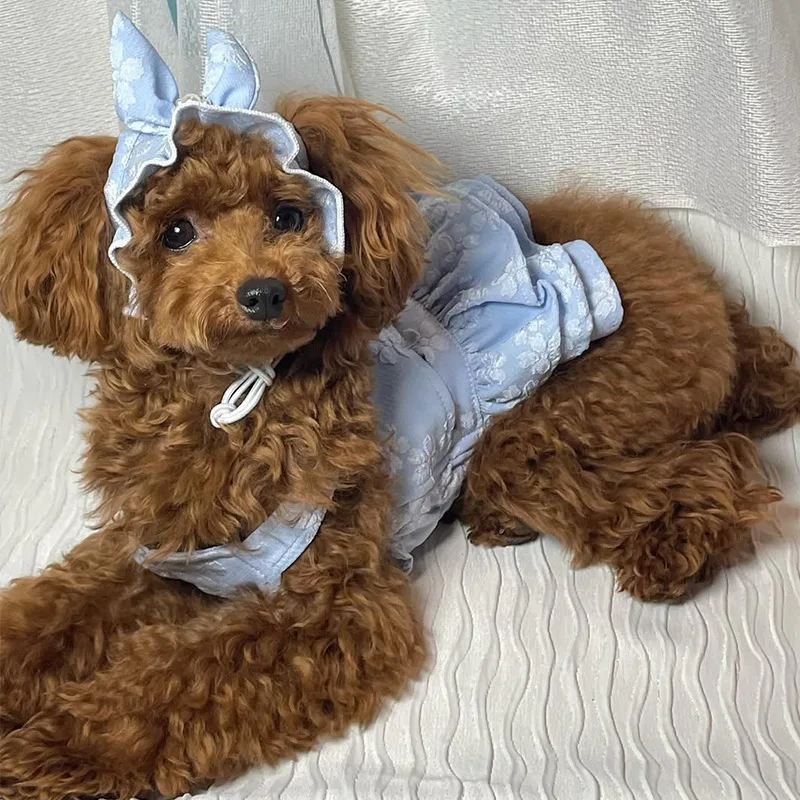 Ropa de primavera para mascotas, mono, vestido bordado de princesa para gatos, sombrero, cumpleaños, perro pequeño, oso de peluche, ropa para mascotas - imagen 3