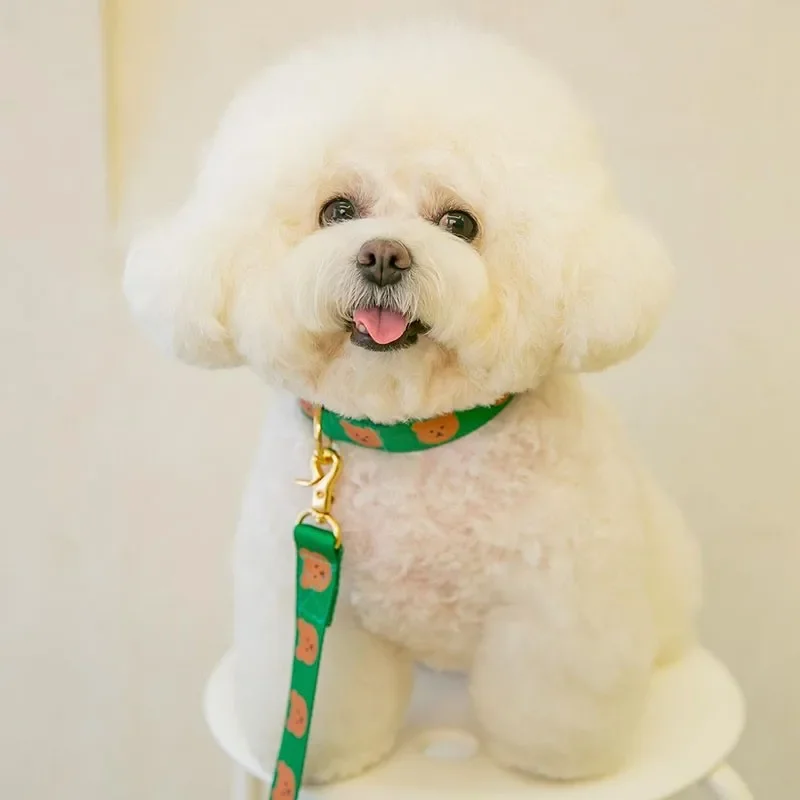 Collares y correas para perros de oso de dibujos animados, Collar de verano para perros pequeños, producto, artículo de accesorios para mascotas Yorkshire Chihuahua - imagen 5