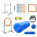 Dog training kit C