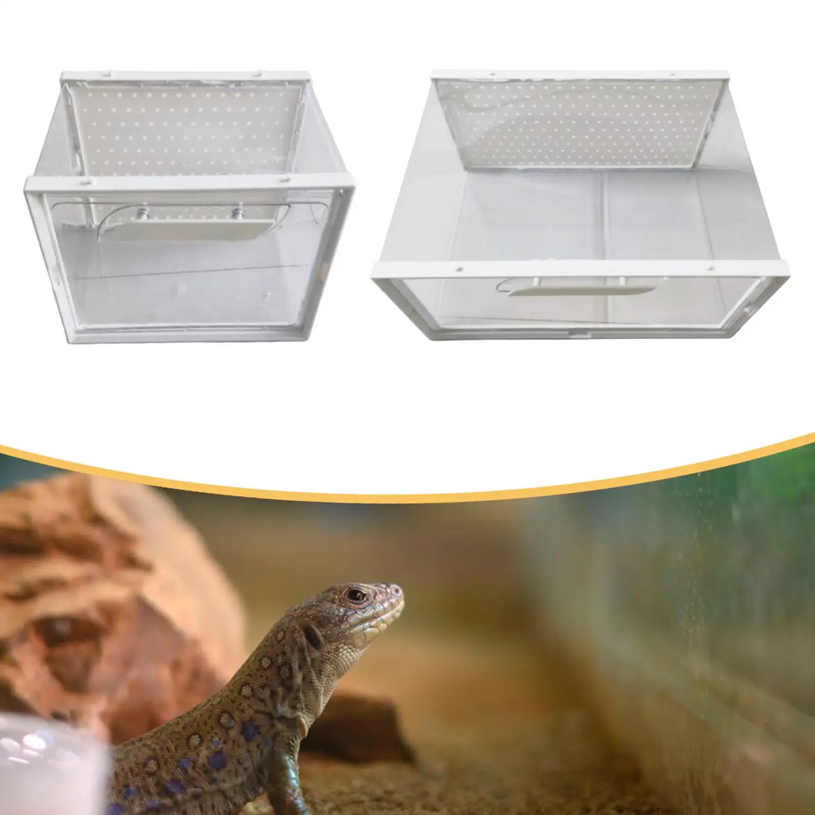 Terrario para reptiles, ventilación, caja de cría para reptiles, rana, cangrejo, tortuga - imagen 3