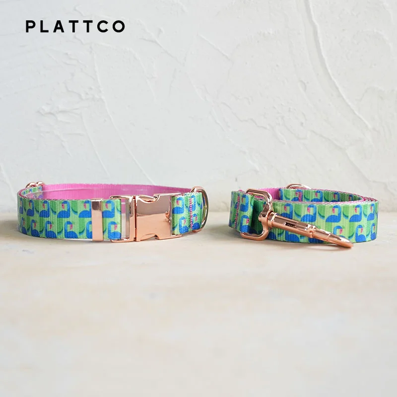 Dog Collar Leash Set