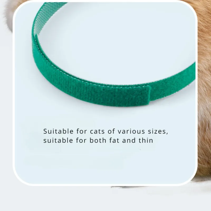 Collar láser automático para gatos, juguete interactivo inteligente, juguetes de entrenamiento eléctrico USB, accesorios para gatos de interior - imagen 5