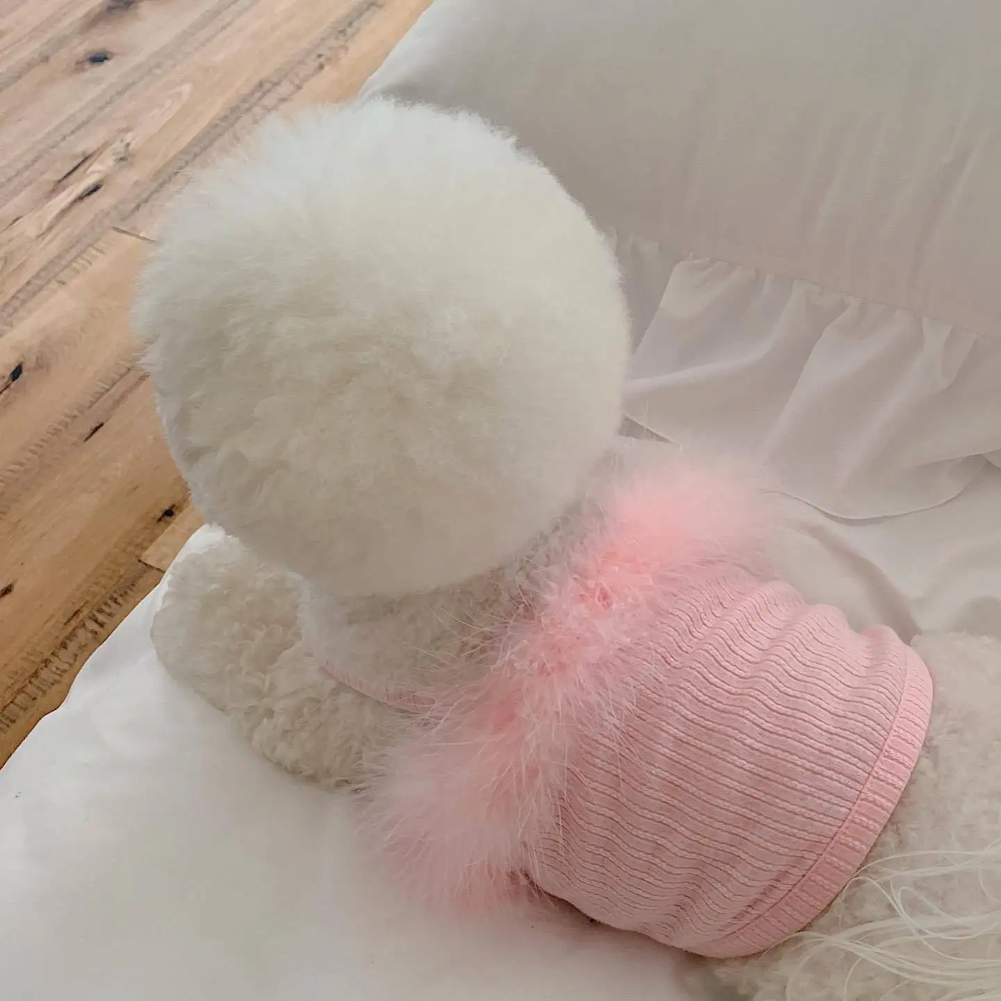 unknown_336321201_864374314630