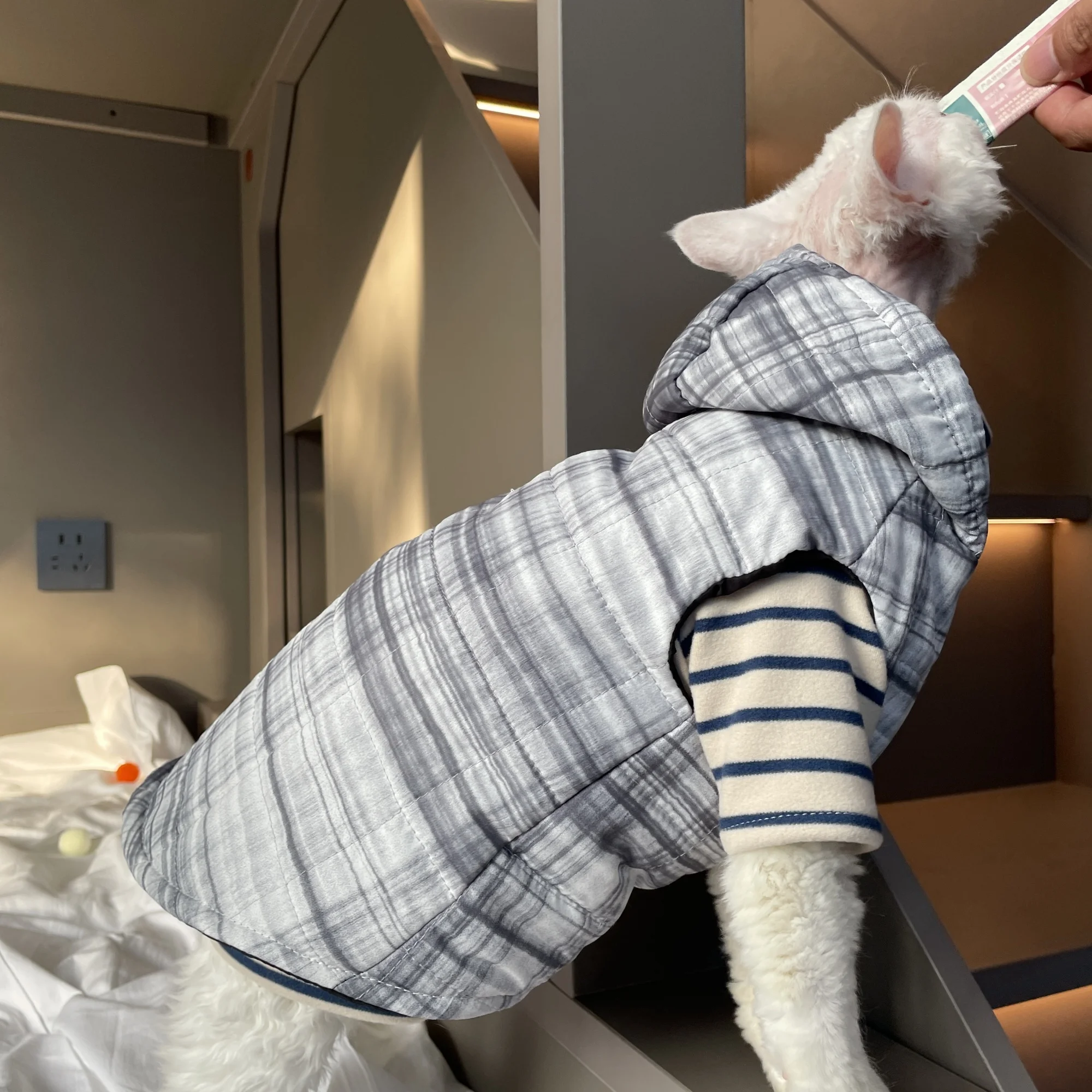 Chaqueta gris a rayas con capucha y cremallera para gato esfinge en invierno, abrigo cálido sin mangas para Devon Rex, traje suave para gatitos - imagen 4