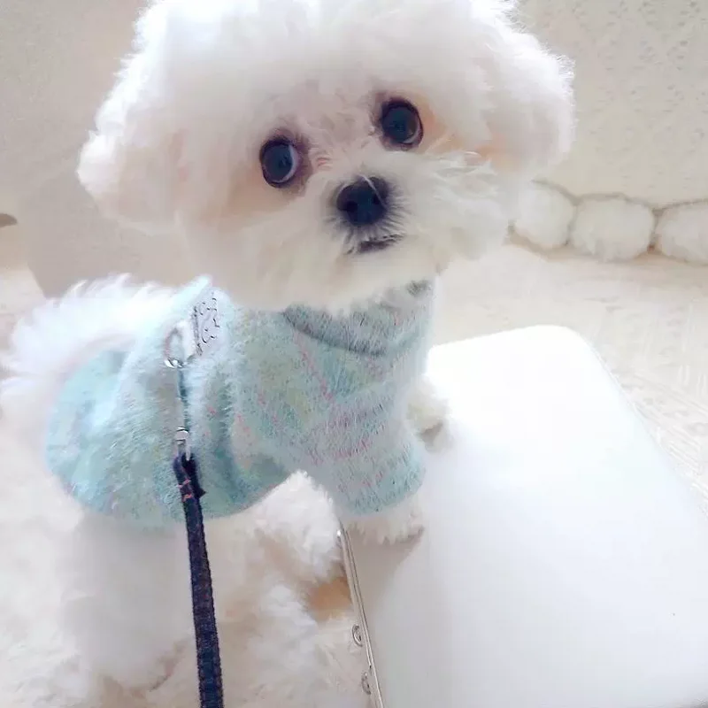 Ropa de invierno para perros, suéteres de lujo para perros pequeños, disfraz para perros y gatos, abrigo para cachorros, Chihuahua, Dachshund, Yorkie, suéter cálido para perros, nuevo - imagen 5