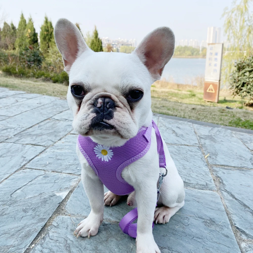 Arnés con bordado de margaritas para mascotas, chaleco con correa ajustable de nailon, collares transpirables para Chihuahua y perros pequeños