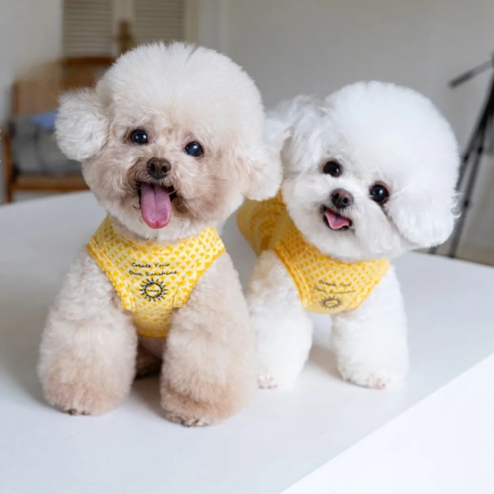 Otoño e Invierno perro princesa lindo vestido sin mangas perro pareja vestido mascota chaleco Navidad Año nuevo Base camisa ropa para cachorros - imagen 2