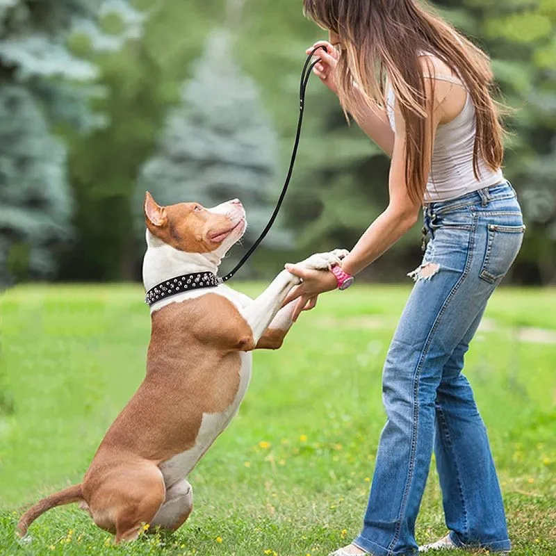 Collar de perro pequeño con pinchos para razas medianas y grandes XXS-XXL Pitbull Mastiff Boxer cuero PU 9 colores collar de perro grande para perro grande - imagen 2