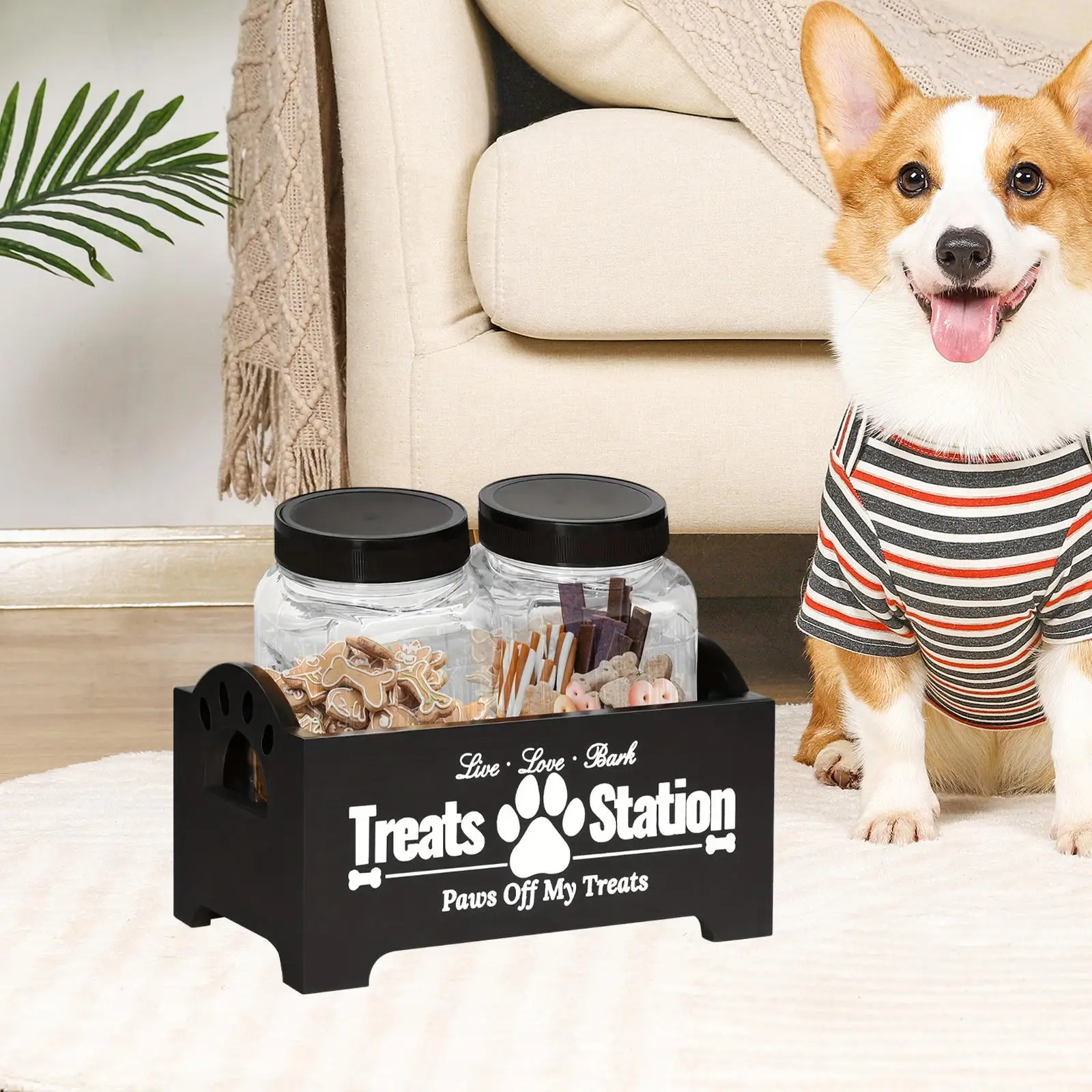 Pet Treat Holder with Jars for Kitchen Counter Modern Dog Food Treat Jar Set