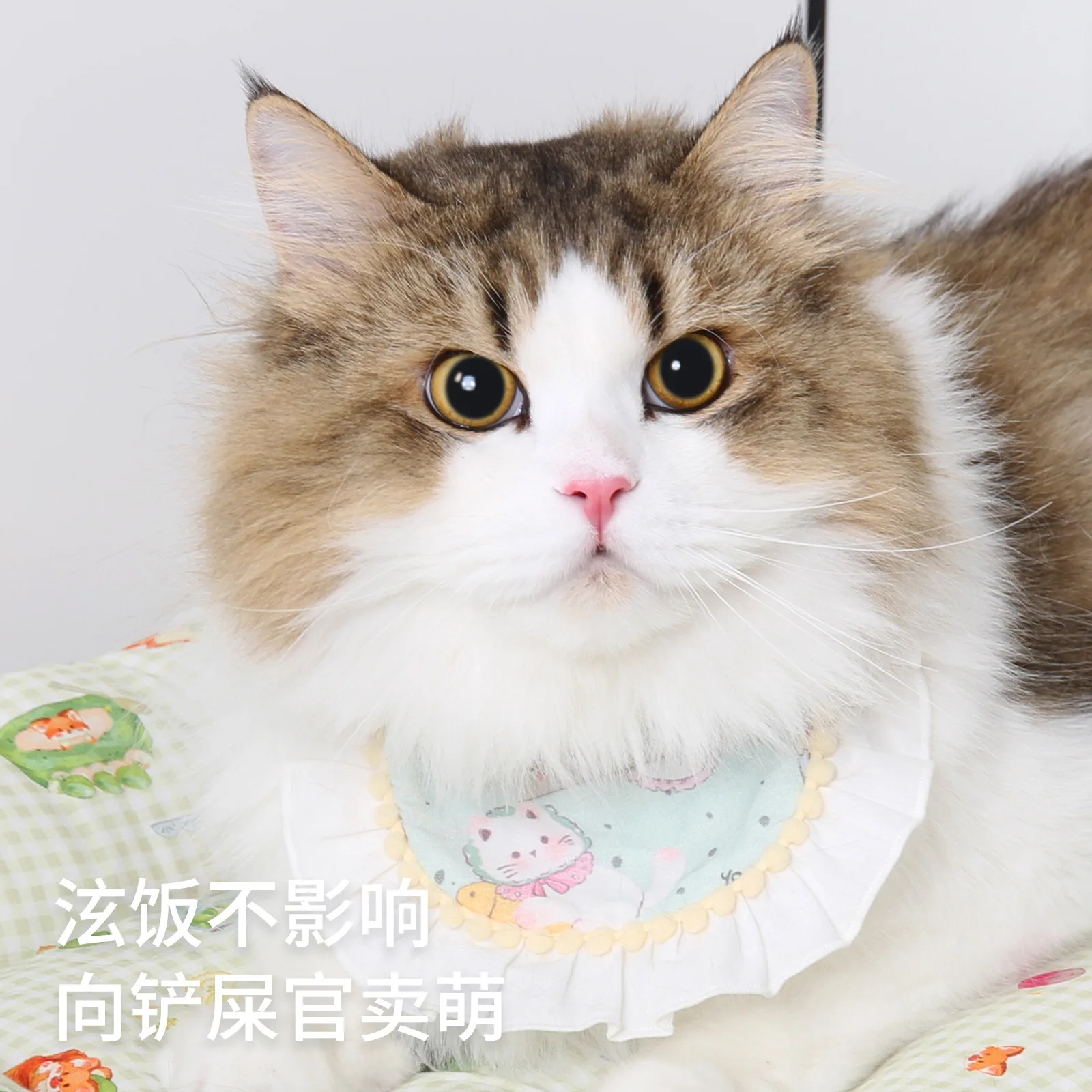 Babero pequeño estampado de algodón para perro, toalla de Saliva para mascota, bufanda de Pomerania, joyería para gato, suministros para perros - imagen 2