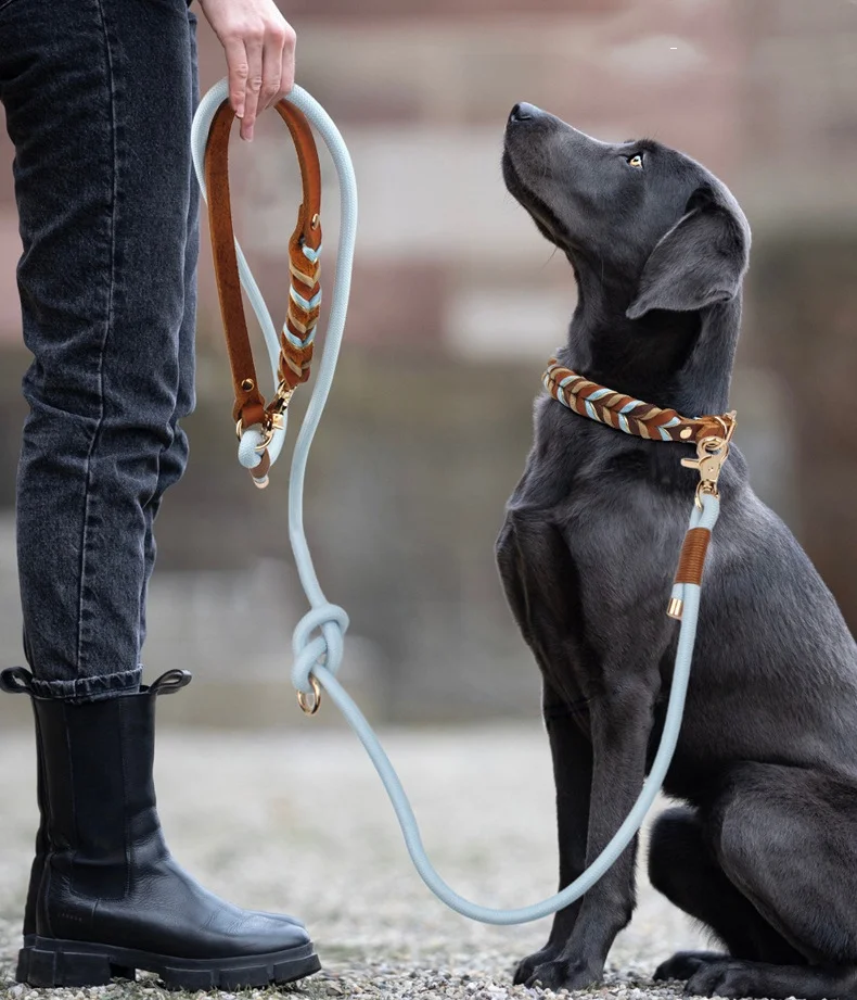 Collar de perro trenzado hecho a mano, correa de cuero genuino para mascotas, Collar de perro impermeable trenzado de lujo, correa de cuero para caminar y entrenar para perros - imagen 3