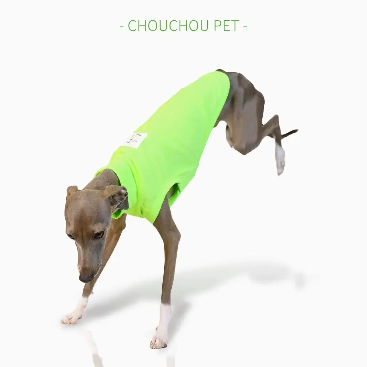 Iggy-Chaleco transpirable para perros pequeños y medianos, ropa para mascotas, protección solar al aire libre, fresco y cómodo, Verano