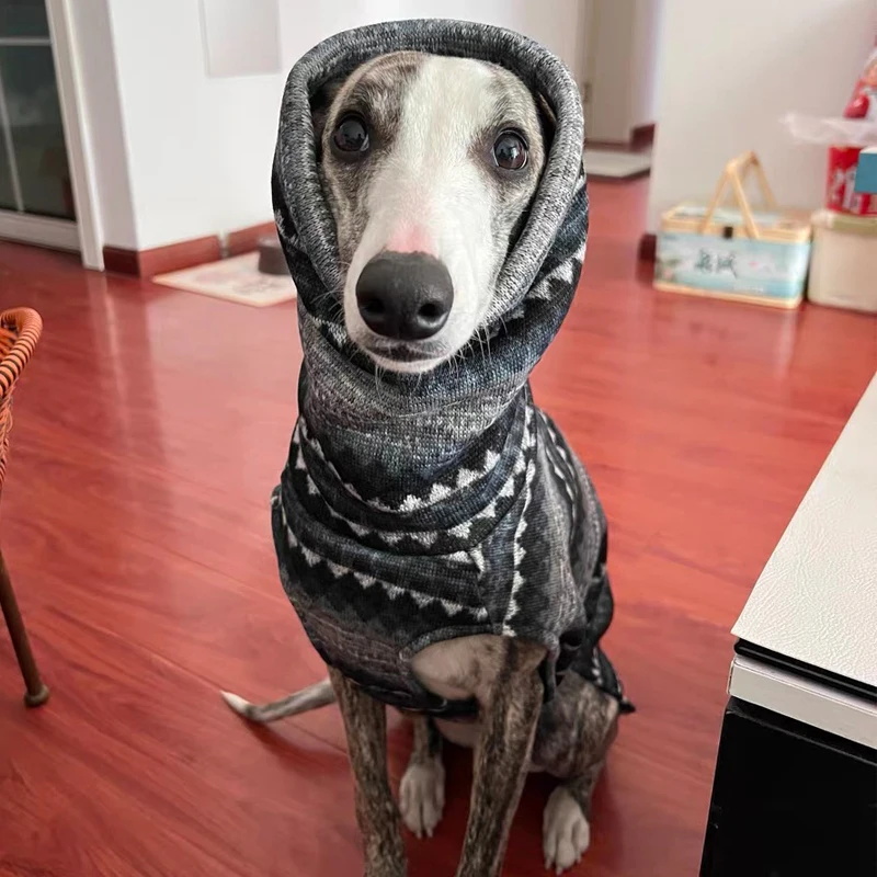 Chaleco para perro de cuello alto a rayas, color gris y negro, para galgo, sin mangas, ropa de alta elasticidad para Whipbit en otoño, primavera