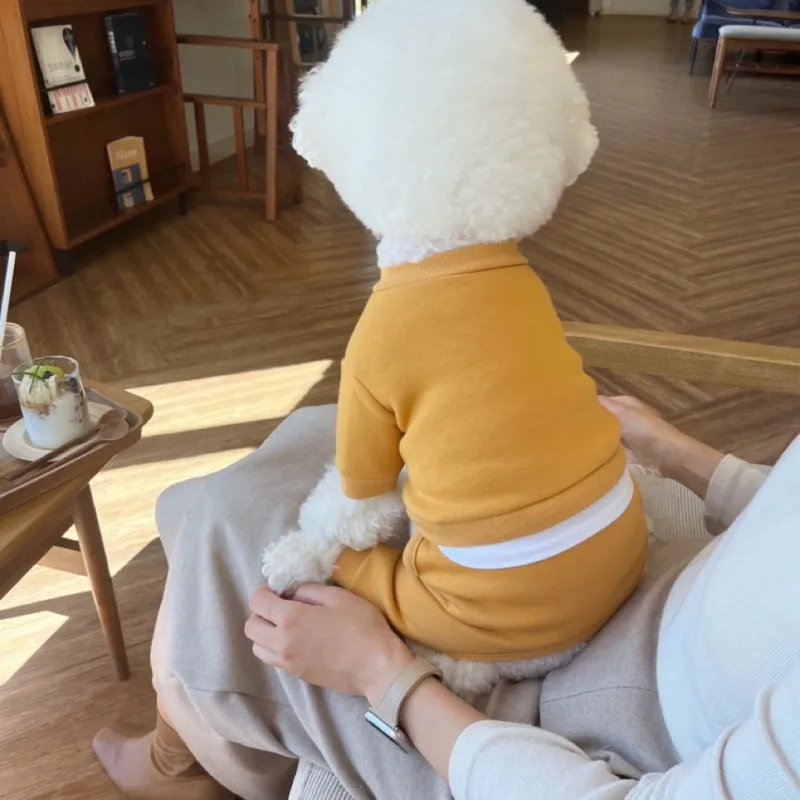 Abrigo mono para cachorros, sudadera de ocio para perros, chaquetas para mascotas, Chihuahua, Bichon, disfraz de Bulldog Francés, sudaderas con capucha para gatos