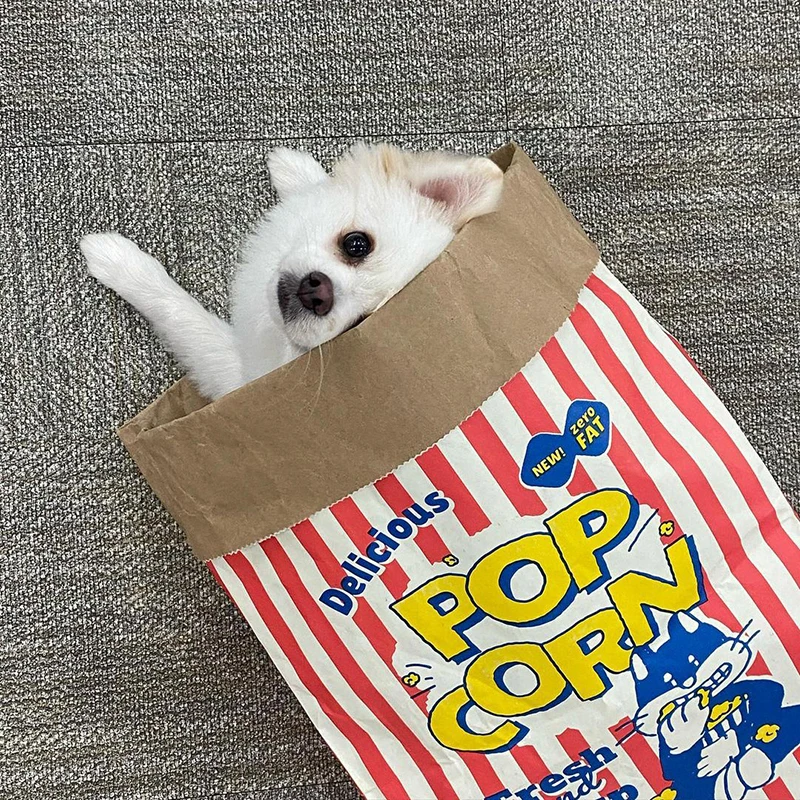 Dispensador de papel Kraft con palomitas – Juguete interactivo para gatos y perros - imagen 4