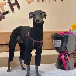 Sudadera cálida de algodón para Whippet – Cuello alto para invierno