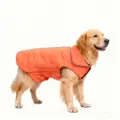 DZ153 orange