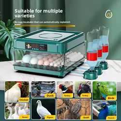 Nuevo Incubadora automática de huevos de gallina y rutina para el hogar, suministros para animales de granja