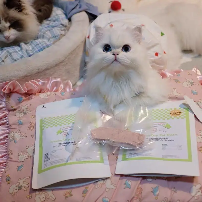 Falda de burbuja geométrica con tirantes para perro, Falda corta de princesa, Teddy Yorkshire Schnauzer, cachorro maltés, ropa para gato, bonito vestido para mascotas - imagen 4