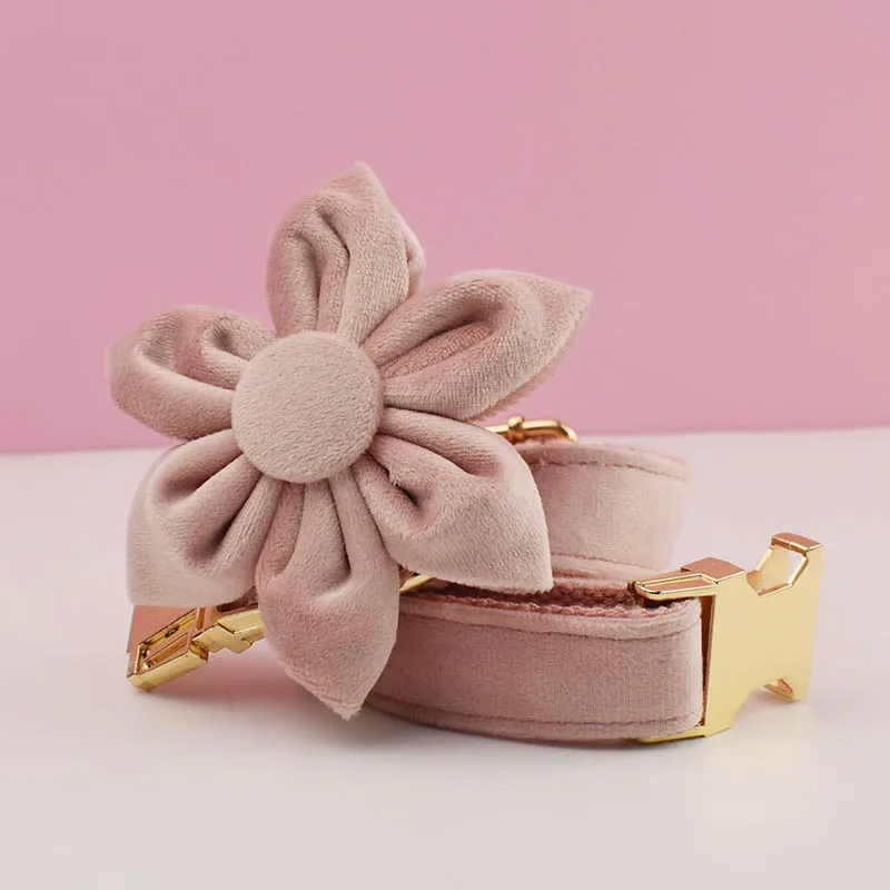 Juego de Collar y correa de terciopelo rosa pálido para perros, placa de identificación grabada personalizada, suministros para mascotas, correa para perros, Velvet36 - imagen 3