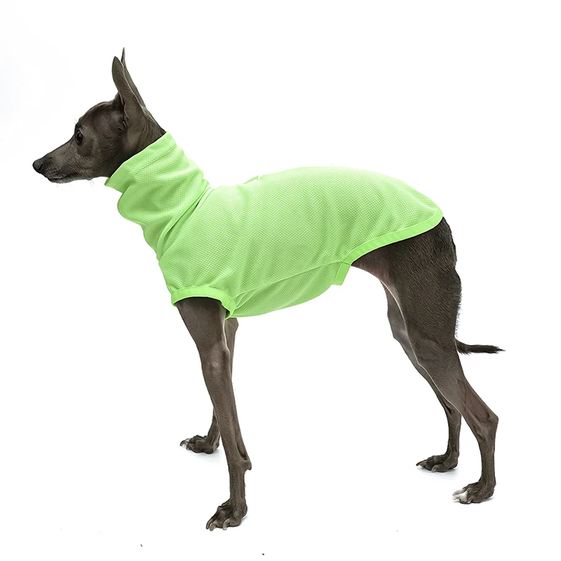 Italia little Greyhound Betlington Ropa Protector solar de verano iIsect Chaleco repelente Mid Dogs Street Jacket Poodle Light T-shirt - imagen 4