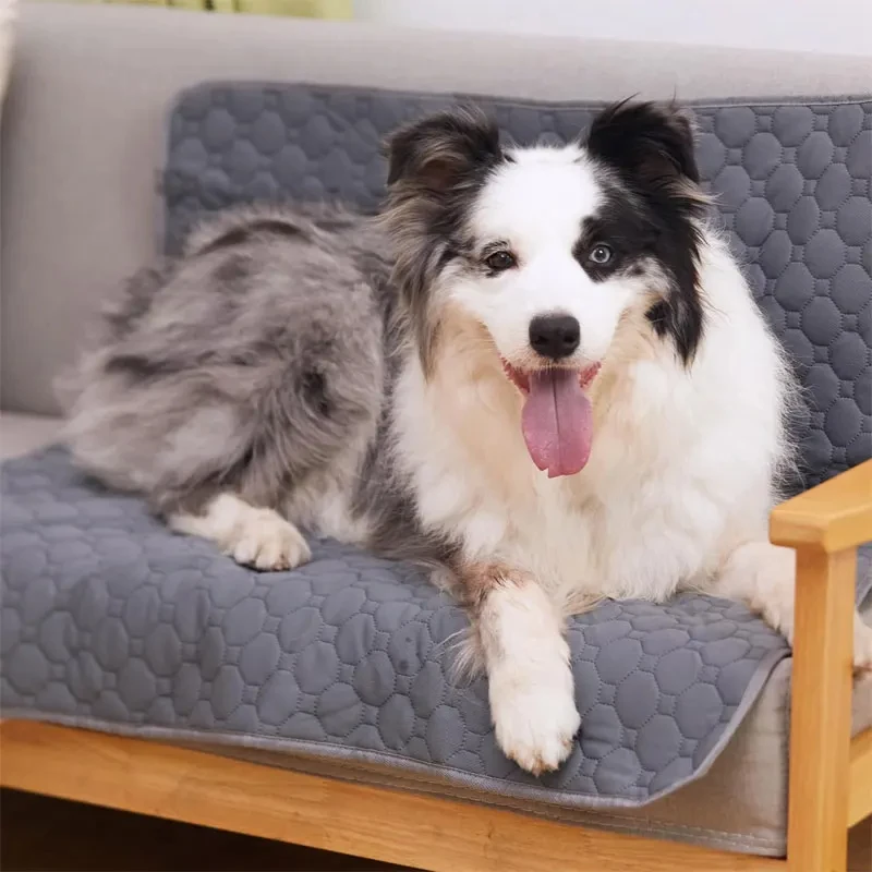 Almohadilla para orinar para perros, estera lavable reutilizable para orina de perro, asiento de coche, sofá, impermeable, absorbente, para entrenamiento de cachorros y gatos, estera para pañales, suministros para mascotas - imagen 2