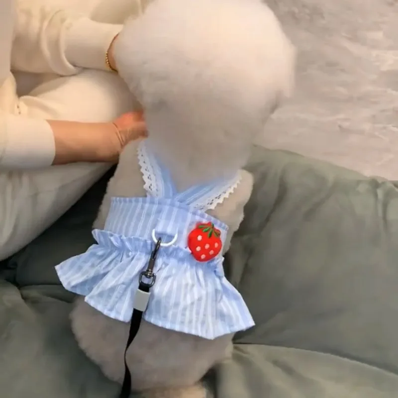 Vestidos para perros azul fresa, ropa para cachorros, primavera y verano, faldas de tracción finas y bonitas de princesa Sle Teddy Bichon para cachorros pequeños - imagen 5