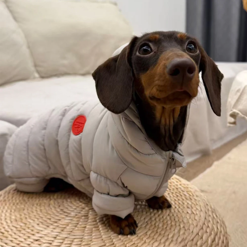 Abrigo invierno para perro pequeño – Chaqueta térmica con capucha