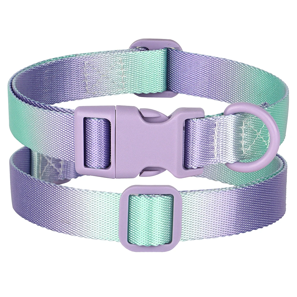 Collar de nailon ajustable para perro pequeño y gato, Collar gradiente para mascotas, accesorios de moda para perros pequeños y grandes, Pug - imagen 3
