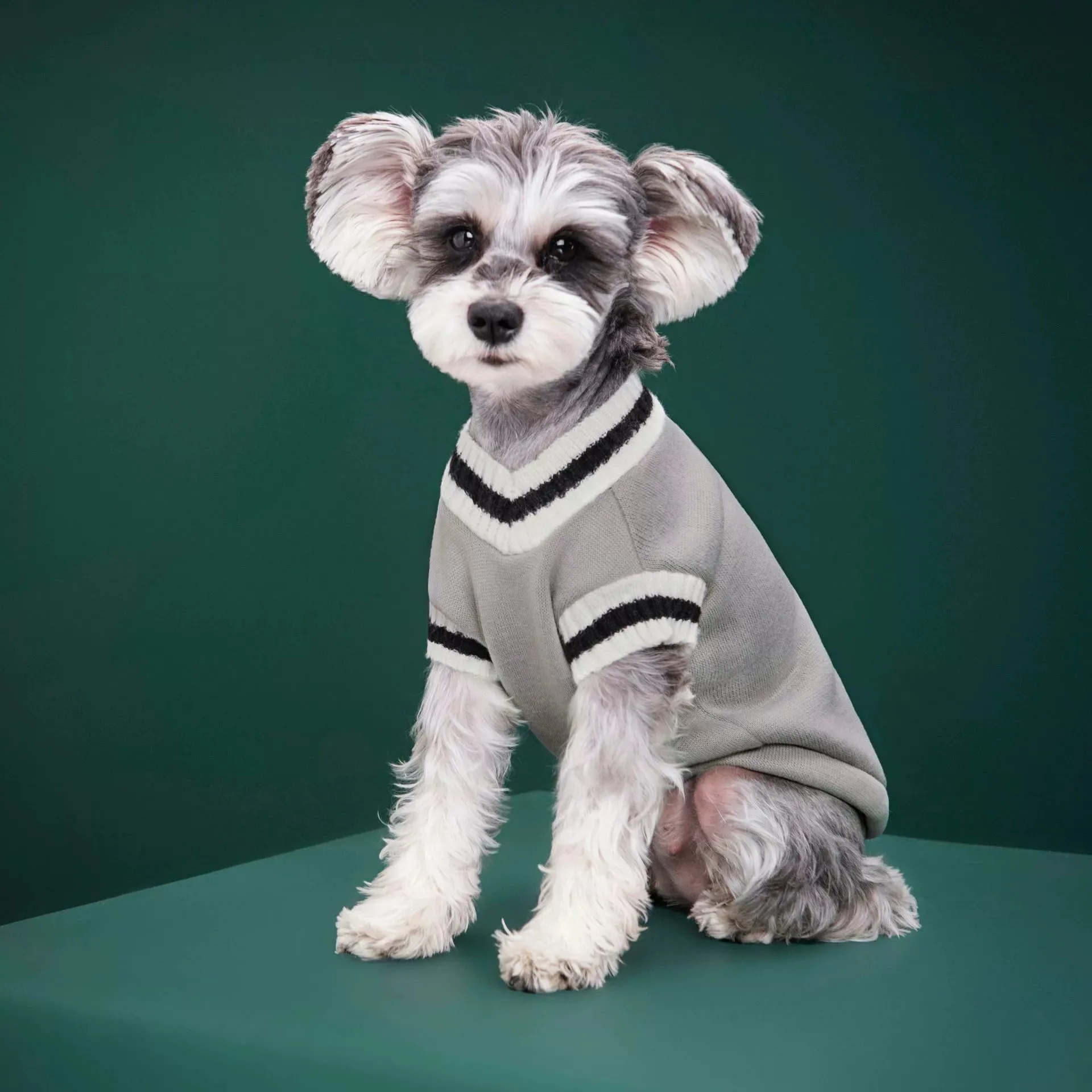 Disfraz liso de gato para mascotas, suéter de Navidad para perros pequeños, jersey para gatitos, chaleco para cachorros, ropa, chaqueta para gatitos, trajes - imagen 2