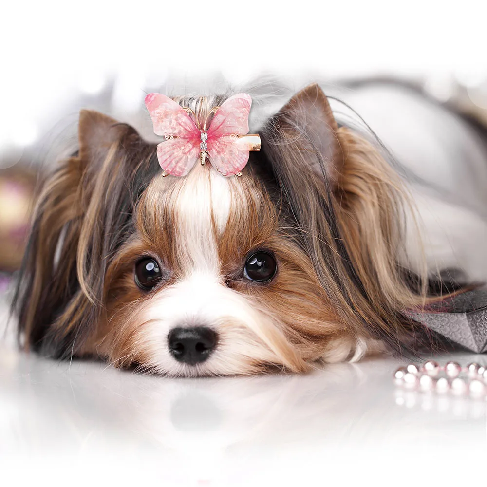 Pinzas mariposa metálicas para pelo de perro – Accesorios - imagen 4