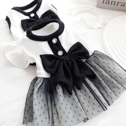 Ropa verano para perros pequeños: camiseta, falda y vestido retro