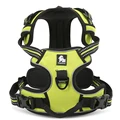 Neon yellow