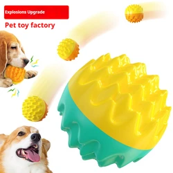 Pelota dental sonora masticable para gatos y perros
