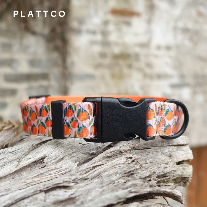 PLATTCO color del collar para perro con estampado de mascotas nuevo basqueta naranja personalizada para perros pequeños, medianos y grandes 5 tamaños PDC324 - imagen 2