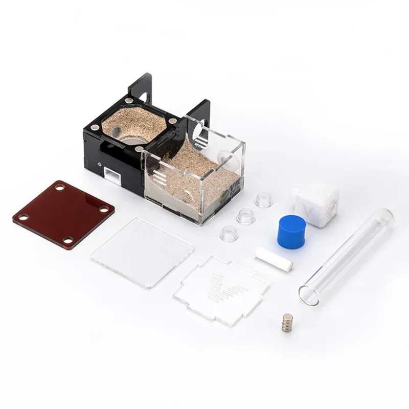 Granja hormigas - Tallas disponibles