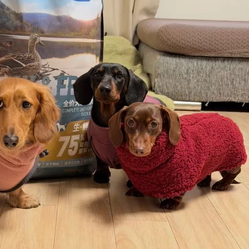 Abrigo rojo de cuello alto para perros dachshund - Chaqueta cálida - imagen 5