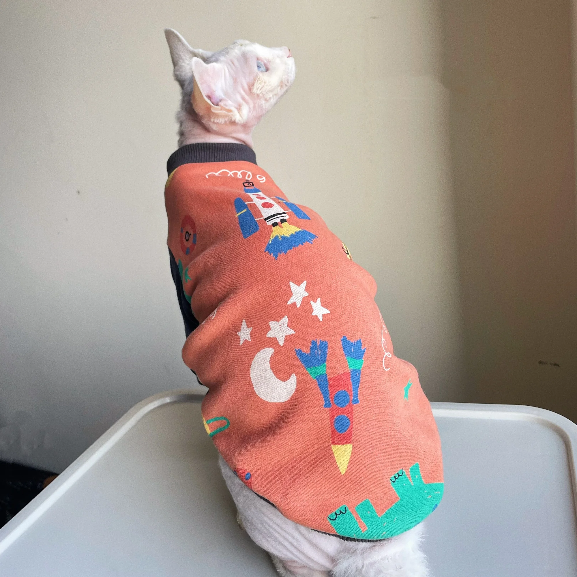 Abrigo suave cálido de invierno para gato Sphynx y Devon Rex - imagen 3