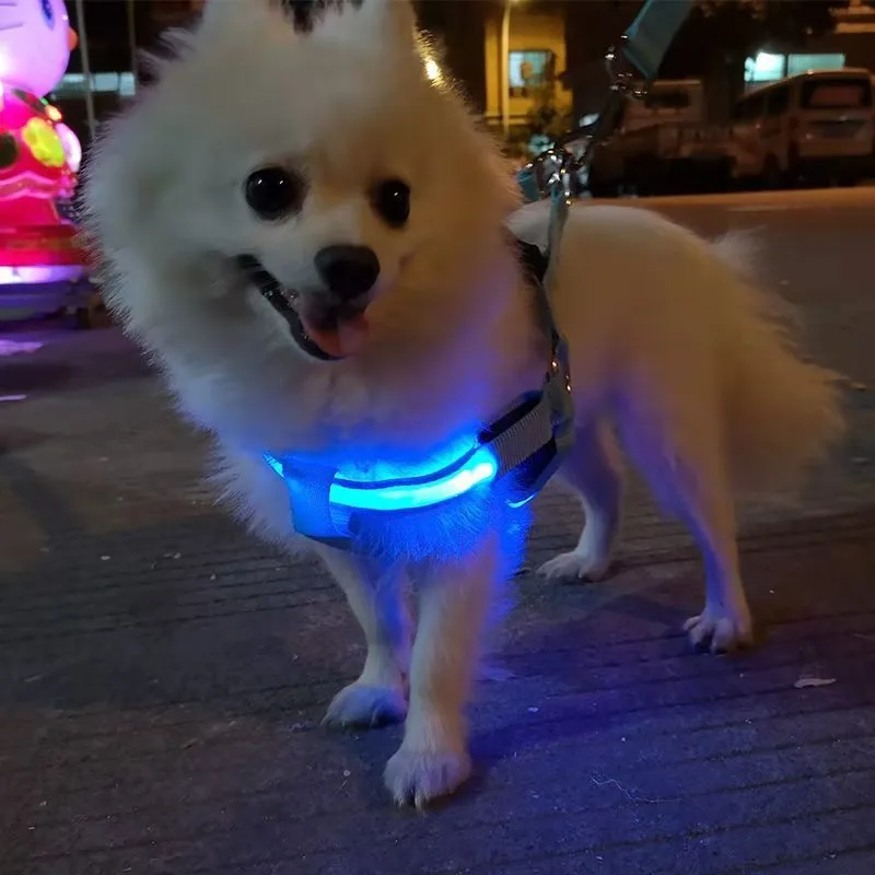 Arnés LED para perros, arnés reflectante ajustable para perros, luz nocturna, chaleco brillante de seguridad para perros, banda elástica para correr de alta visibilidad - imagen 4