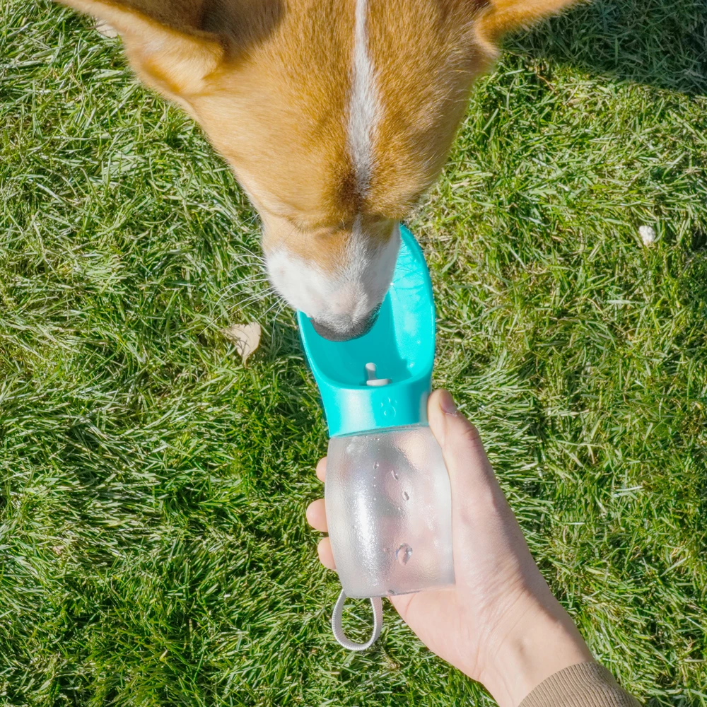 Portable Dog Water Bottle Small Large Dogs Cats Leakproof Drinking Bowl Outdoor Walking Cat Pet Water Dispenser Bulldog Supplies - imagen 2