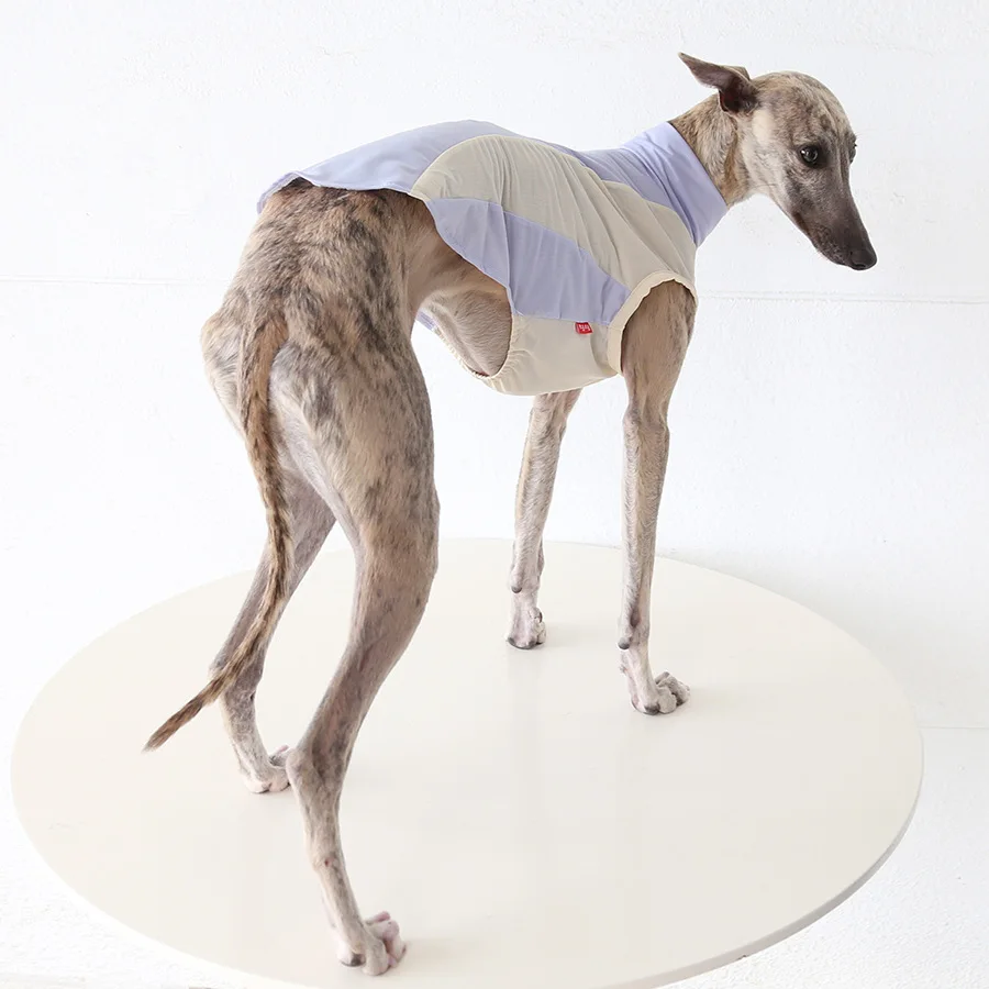 Chaleco ligero con protección solar para galgo italiano - imagen 5